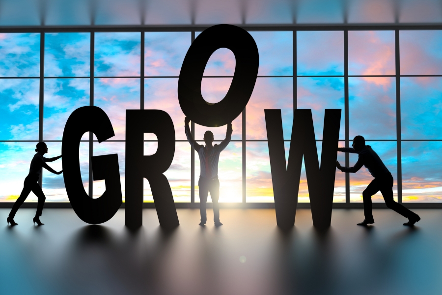 GROW: Uma estratégia de crescimento para empresas
